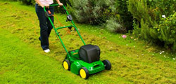 Wertykulacja trawnika - kiedy warto ją wykonać?